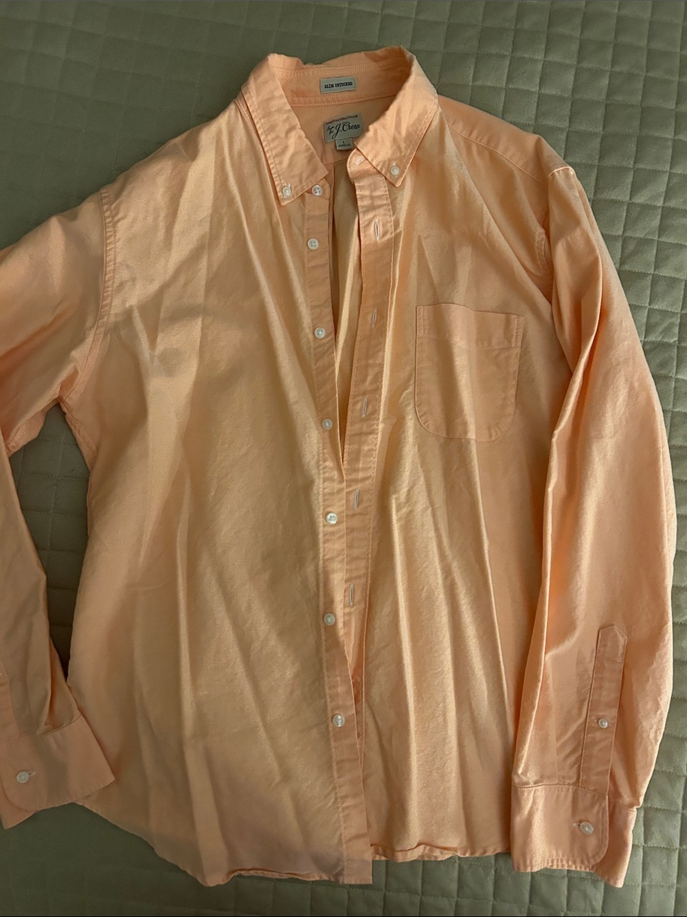 J. Crew Peach Button-Down Shirt